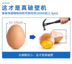 大型超微破壁粉碎機(jī)，為何要選普萊申？